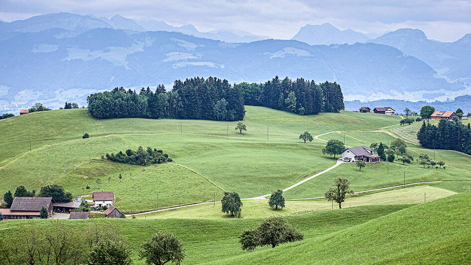 _r1t2059_hof_landschaft_wiese_fullres.jpg _r1t2059_hof_landschaft_wiese_fullres.jpg