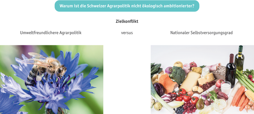 ab2023_grafiken-mensch-transformation_d_3.png ab2023_grafiken-mensch-transformation_d_3.png