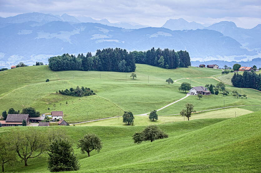 _r1t2059_hof_landschaft_wiese_fullres.jpg _r1t2059_hof_landschaft_wiese_fullres.jpg
